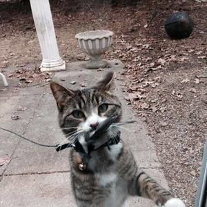 Meet your Posher, Carl